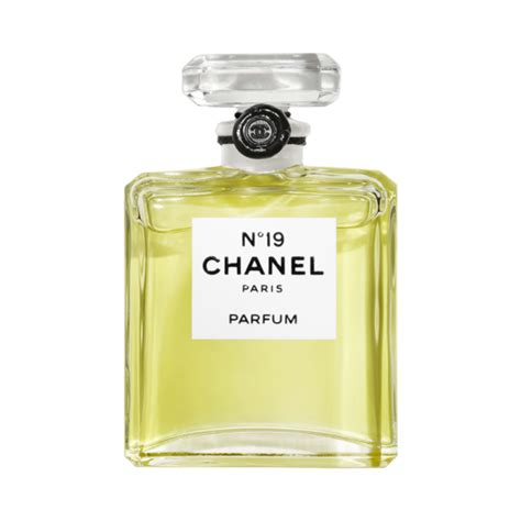 chanel 19 parfum ici paris|Chanel 19 perfume price.